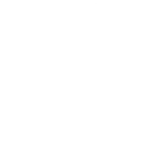 Dr. Mehmet GENCER